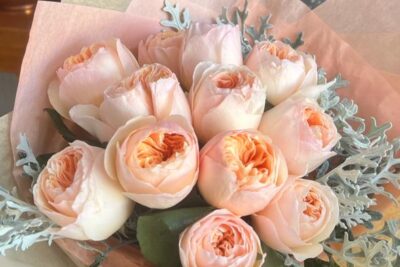10 rosas inglesas que crecen bien en maceta