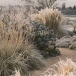 8 gramíneas ornamentales que aportan interés al jardín en invierno