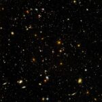 Cosmos, un universo de flores para el jardín