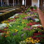 Curiosidades sobre los Jardines de la Alhambra y el Generalife