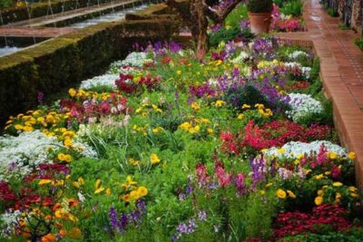Curiosidades sobre los Jardines de la Alhambra y el Generalife