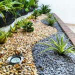 Jardín seco – El blog de la tabla