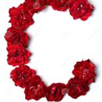 Las flores de cóleo (Plectranthus scutellarioides) y su cuidado