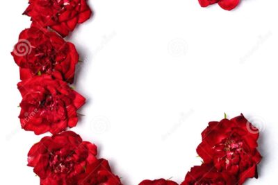 Las flores de cóleo (Plectranthus scutellarioides) y su cuidado