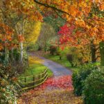 Qué es un arboreto (arboretum)